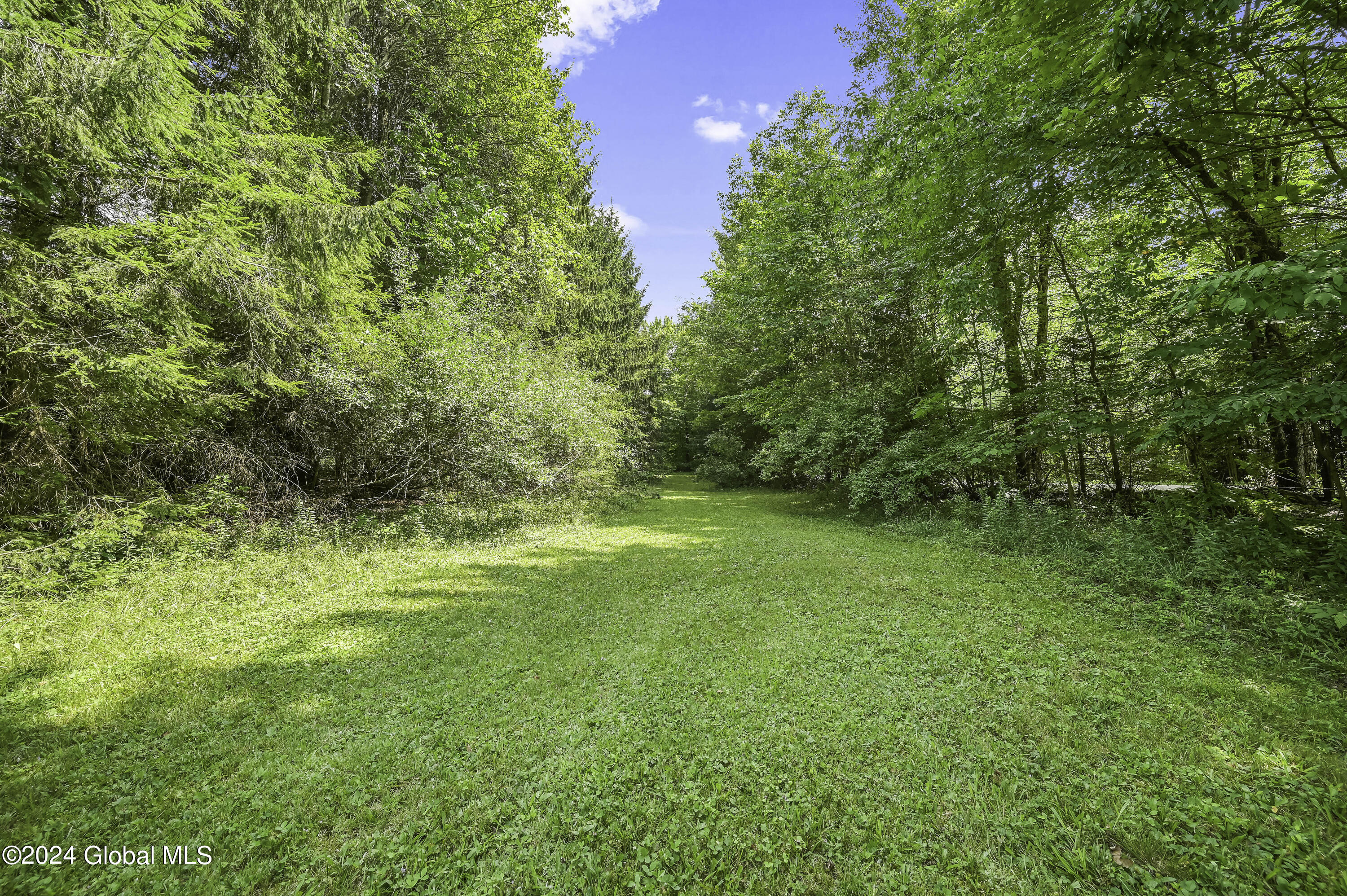 1694 96 Road Kortright, NY 13757 - Photo 76 of 93 Camera 1694 96 RD East -7