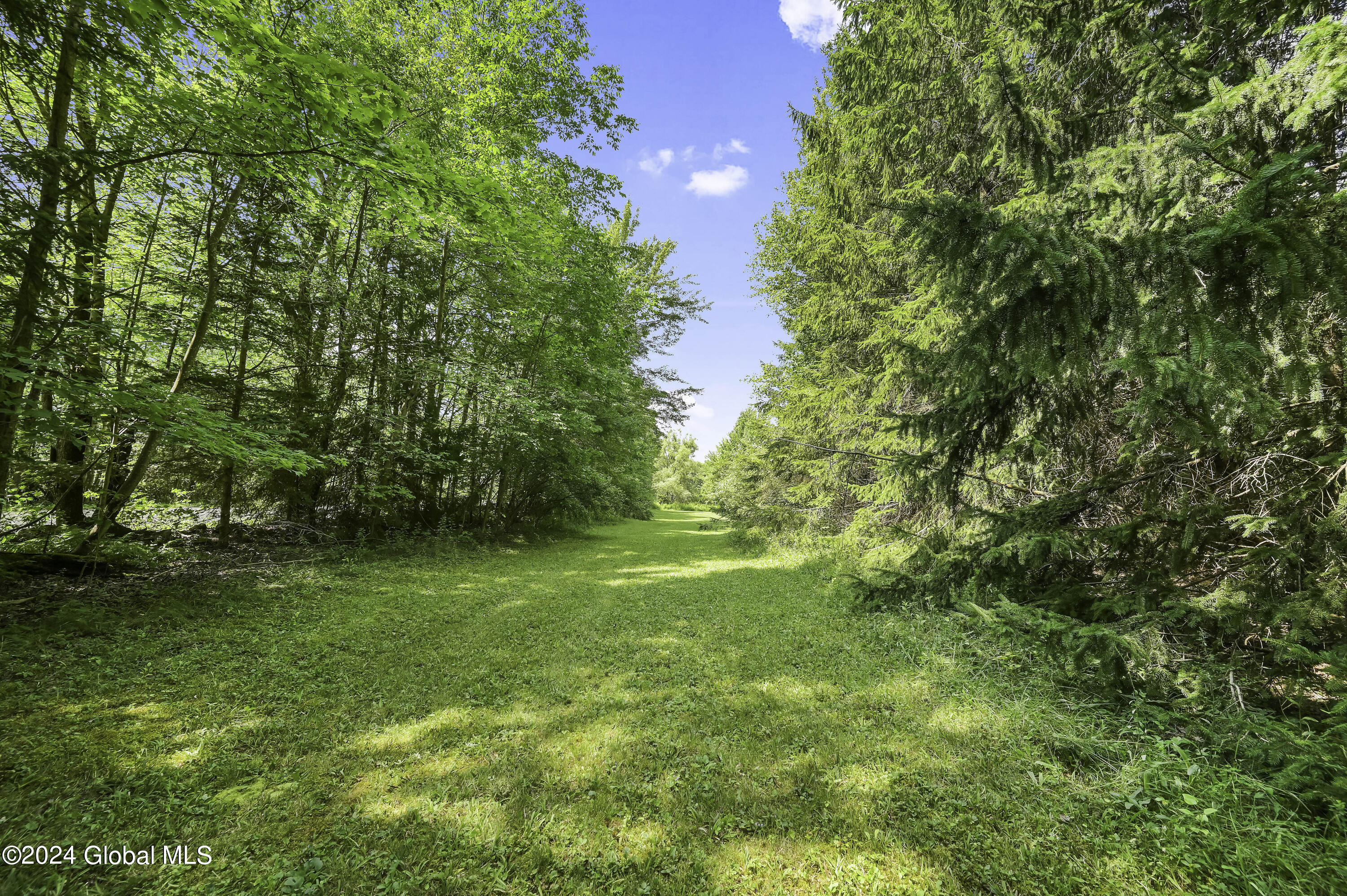 1694 96 Road Kortright, NY 13757 - Photo 79 of 93 Camera 1694 96 RD East -8