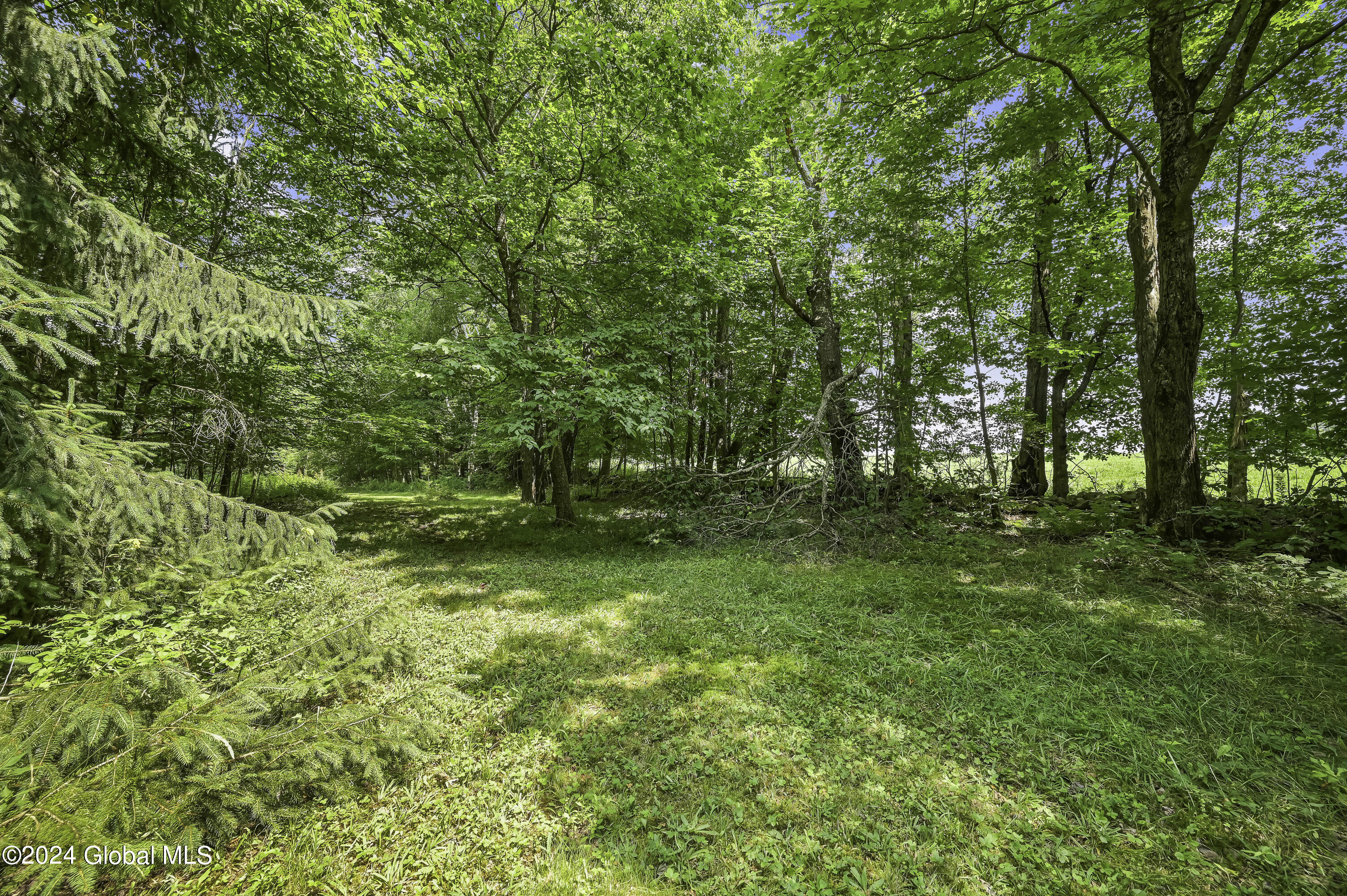 1694 96 Road Kortright, NY 13757 - Photo 80 of 93 Camera 1694 96 RD East -9