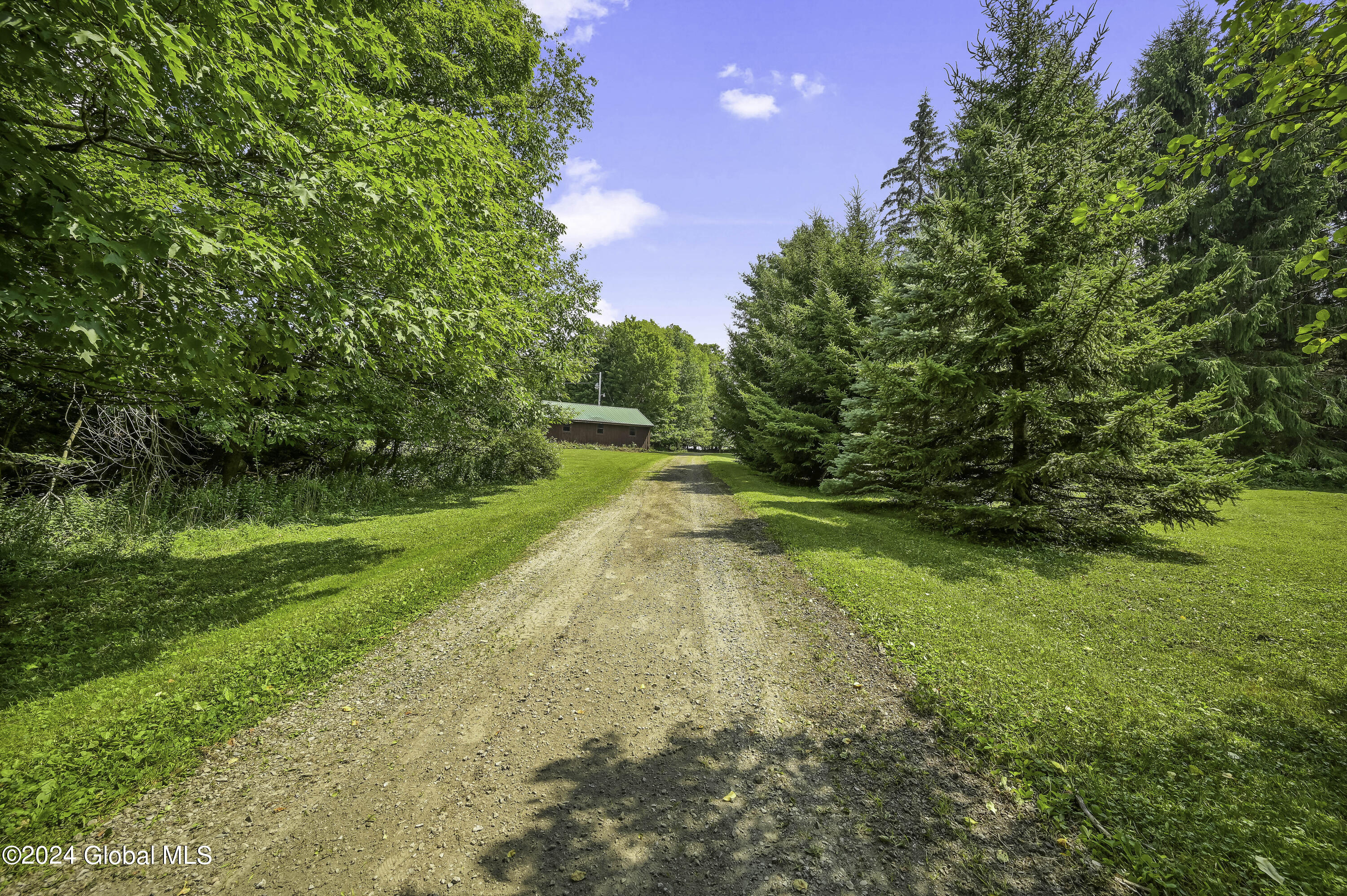 1694 96 Road Kortright, NY 13757 - Photo 90 of 93 Camera 1694 96 RD East -3
