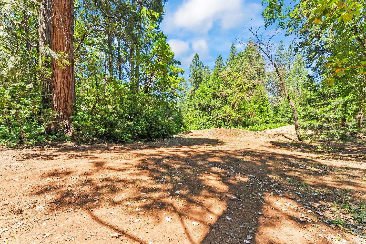 20065 Spring Garden Road Foresthill, CA 95631 - Photo 50 of 62