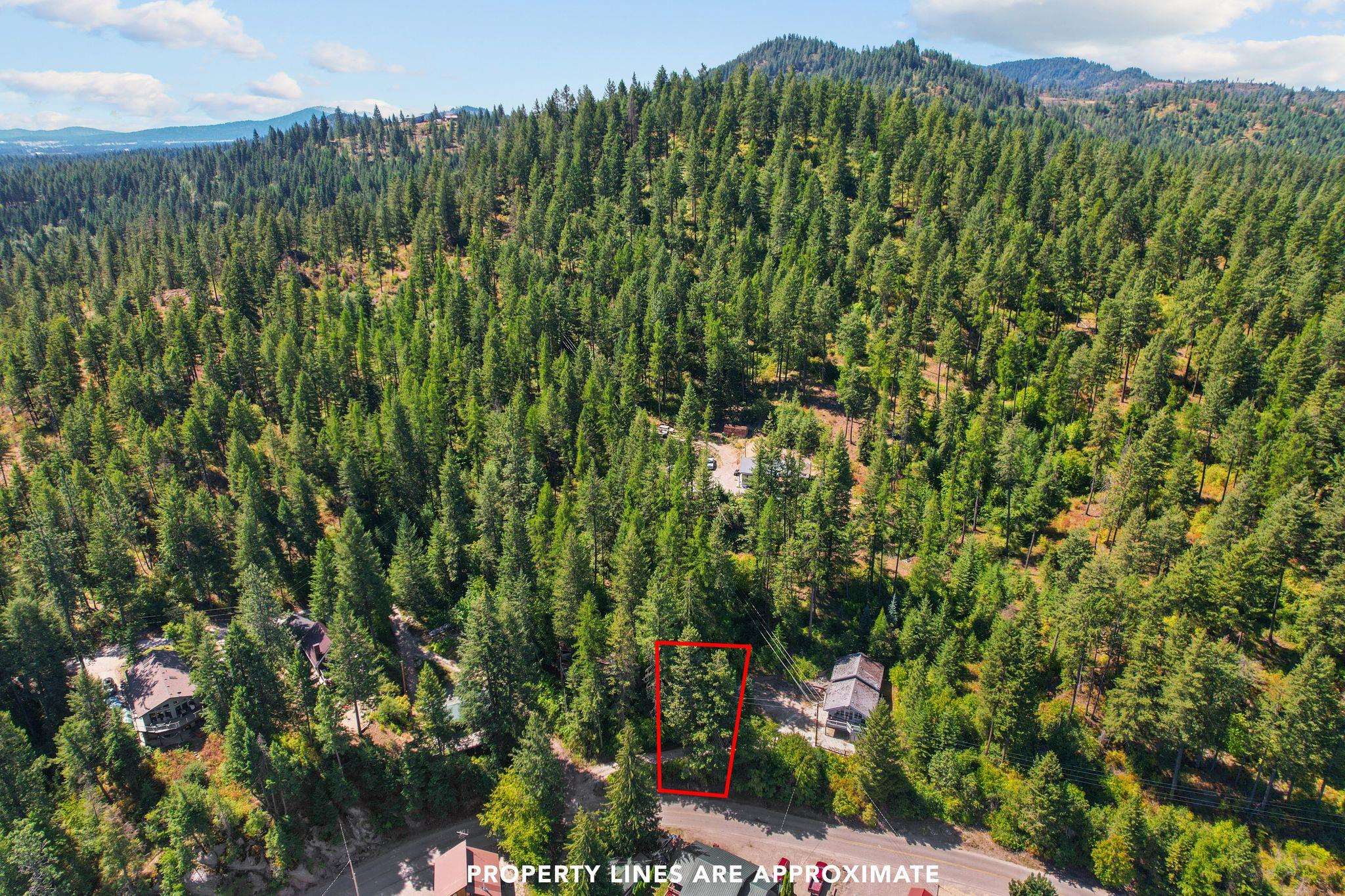 463-xx Larson Beach Road Loon Lake, WA 99148 - Photo 11 of 20