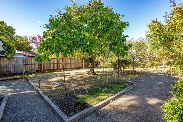 a backyard of a house with lots of green space