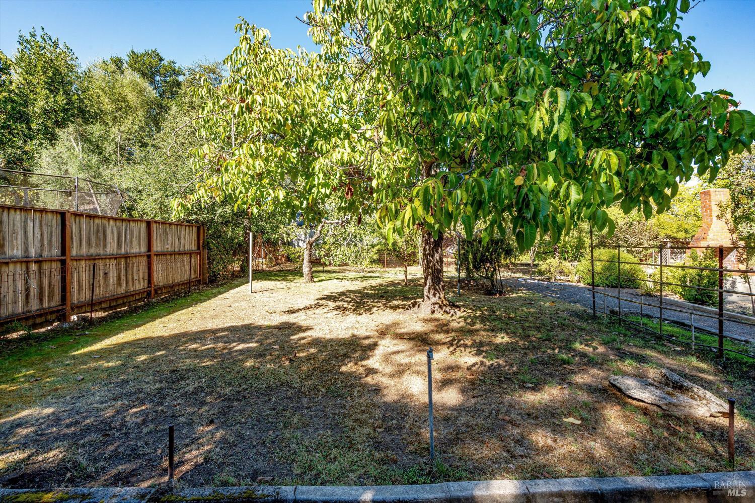 1709 Spring Mountain Road St. Helena, CA 94574 - Photo 41 of 48 a backyard of a house with lots of green space