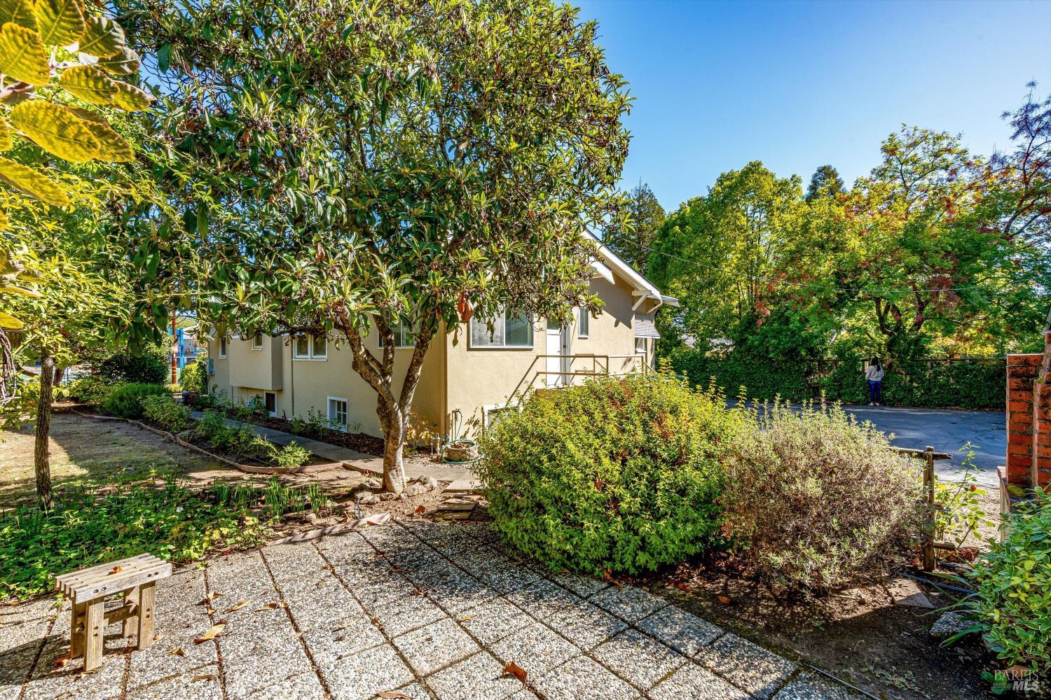 1709 Spring Mountain Road St. Helena, CA 94574 - Photo 44 of 48 a backyard of a house with lots of green space