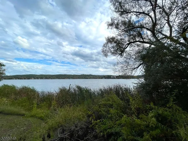 a view of a lake from a yard