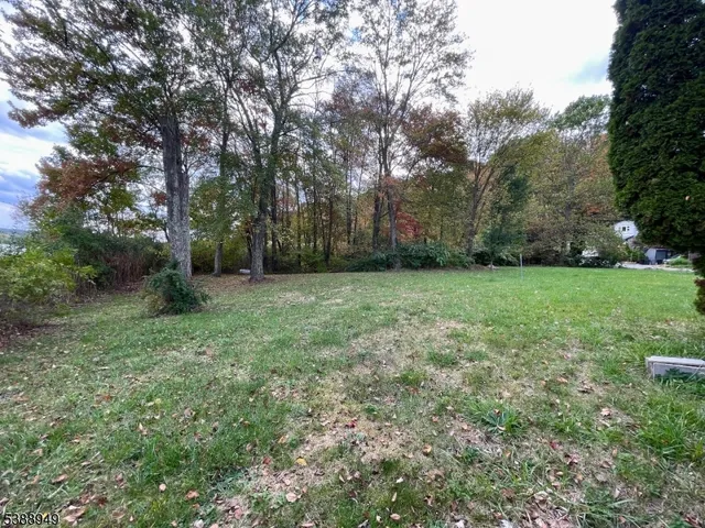 a view of a grassy field with trees in the background