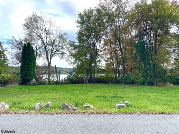 a view of a trees with a big yard