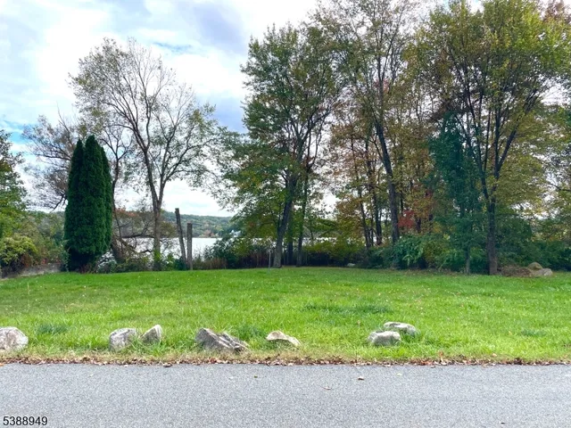 a view of a trees with a big yard