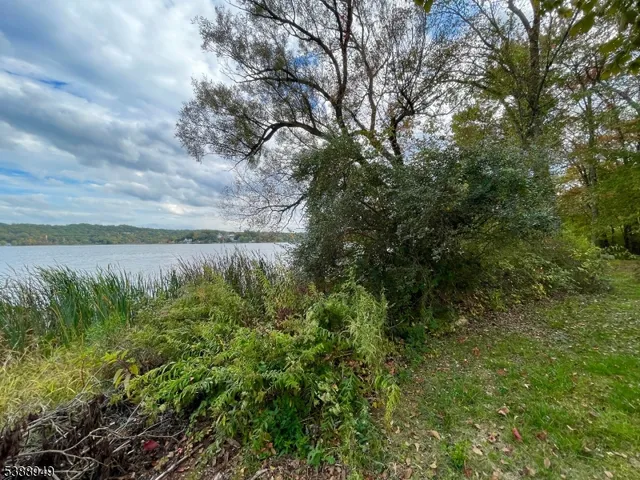 a view of a yard next to a building