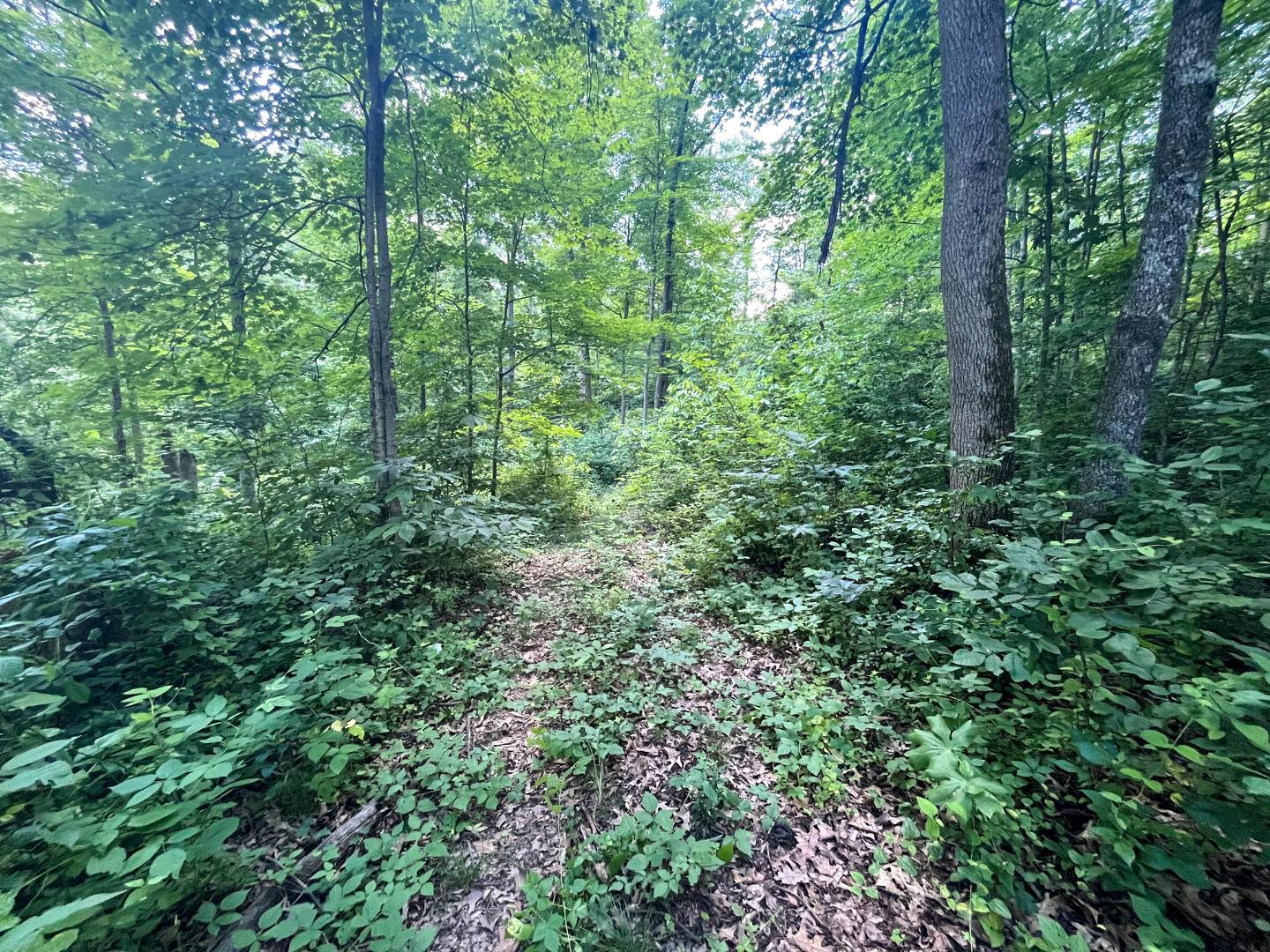 0 Water Works Hill Road Glouster, OH 45732 - Photo 10 of 35 9