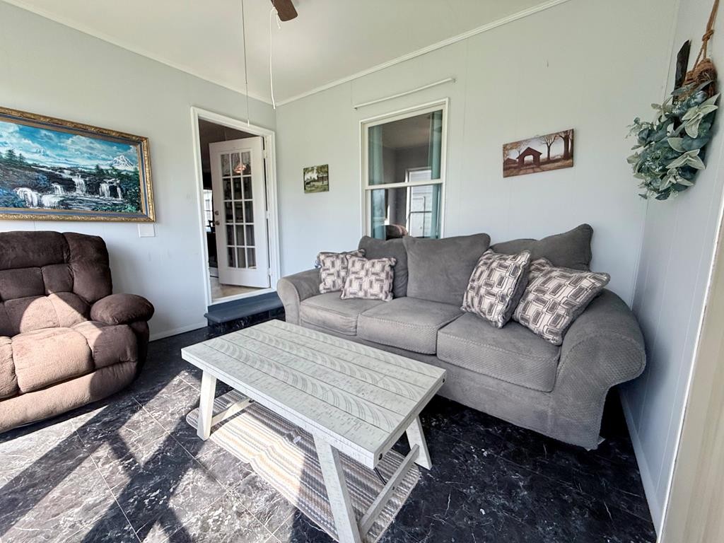 137 Dripping Springs Street Crofton, KY 42217 - Photo 21 of 51 a living room with furniture and a potted plant