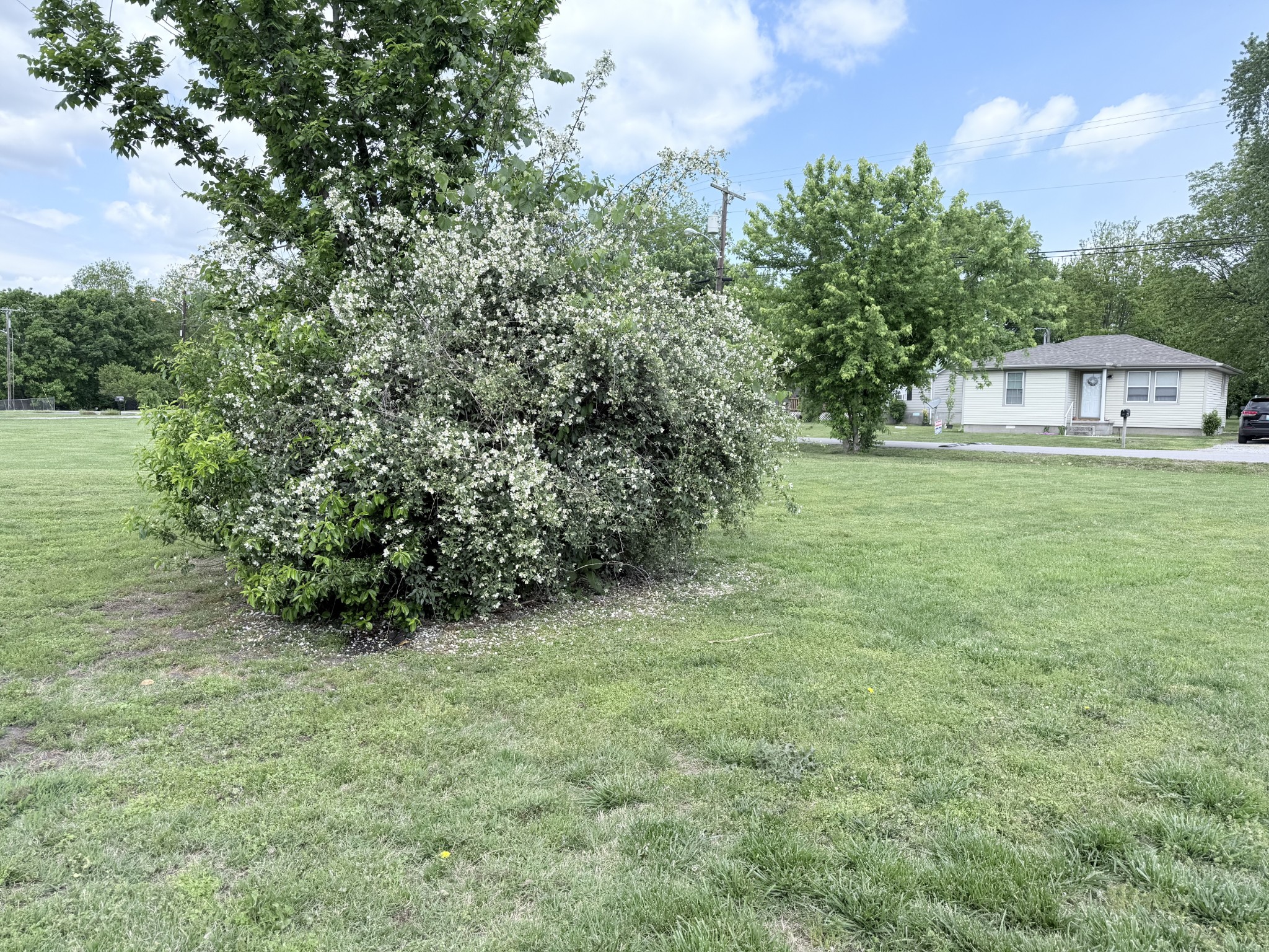 137 Dripping Springs Street Crofton, KY 42217 - Photo 45 of 51