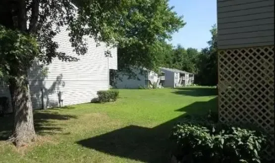 a view of a backyard with large trees