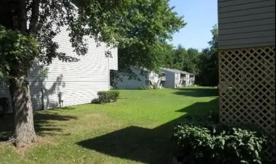 11 Cecelia Drive Amelia, OH 45102 - Photo 4 of 6 a view of a backyard with large trees