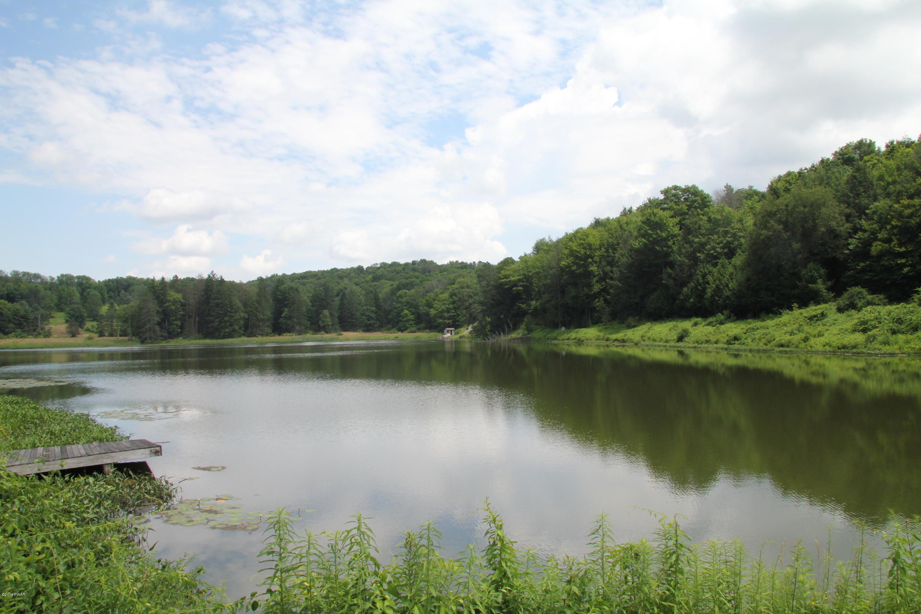 419 Bare Valley Road Montrose, PA 18801 - Photo 56 of 72 Looking up Lake from cabin