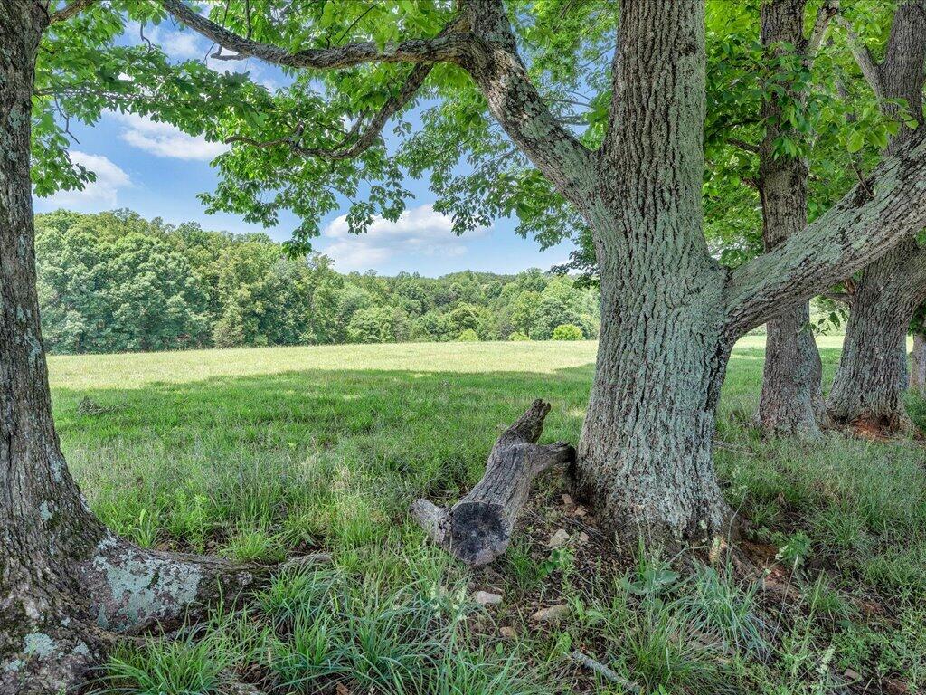 247 Powell Road Ridgeway, VA 24148 - Photo 51 of 90 51-MIB07189