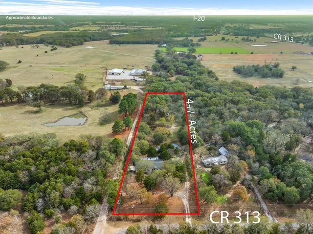 a view of a lake with a tree