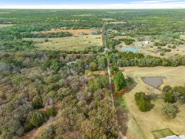 a view of a park with large trees