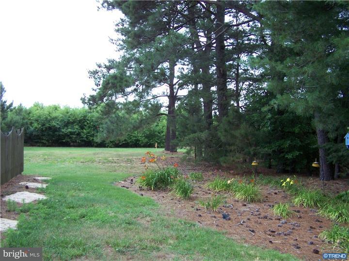 28252 Round Pole Bridge Road Milton, DE 19968 - Photo 23 of 23 Gallery Image 23
