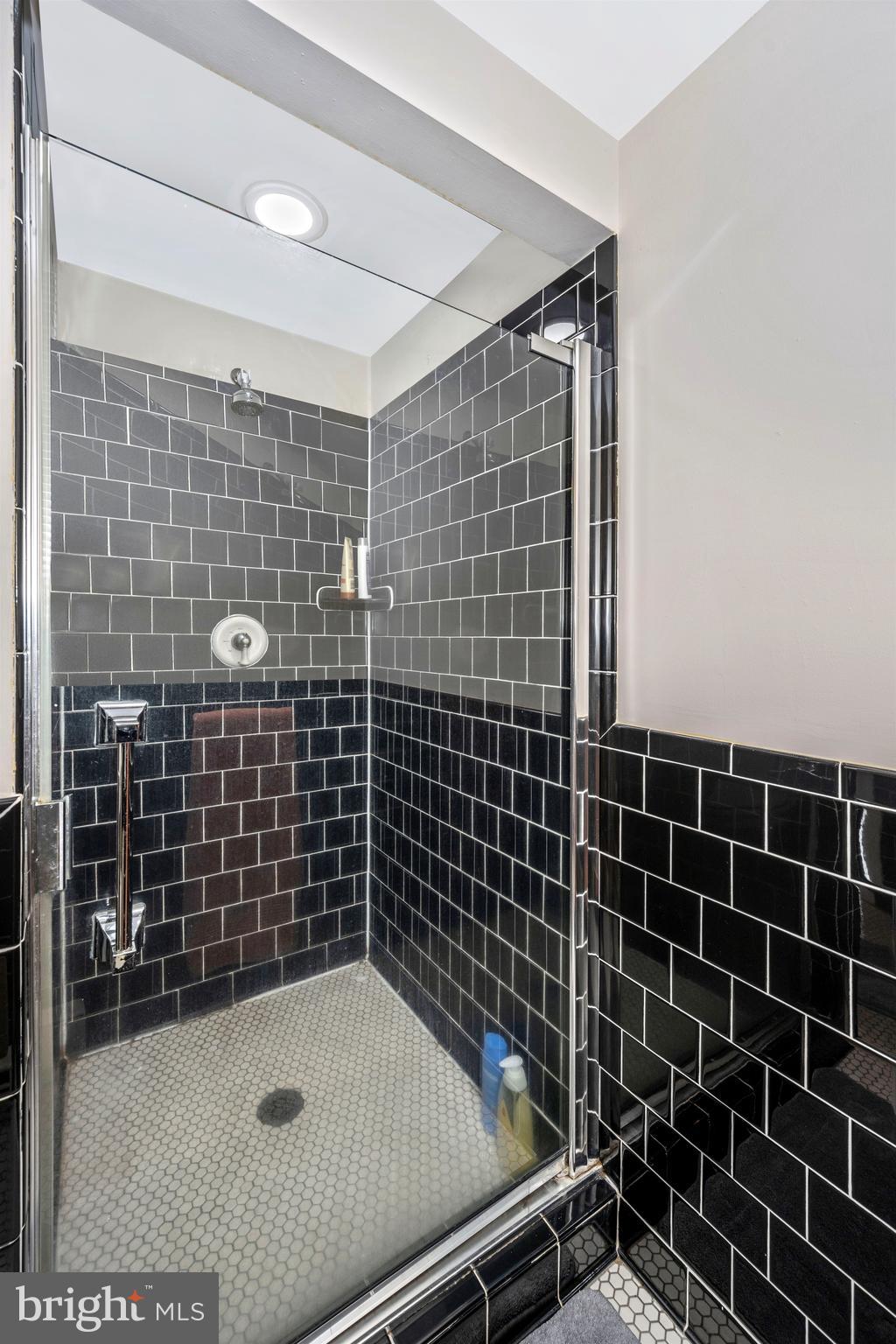 7411 Round Hill Road Frederick, MD 21702 - Photo 33 of 71 Spacious tiled shower