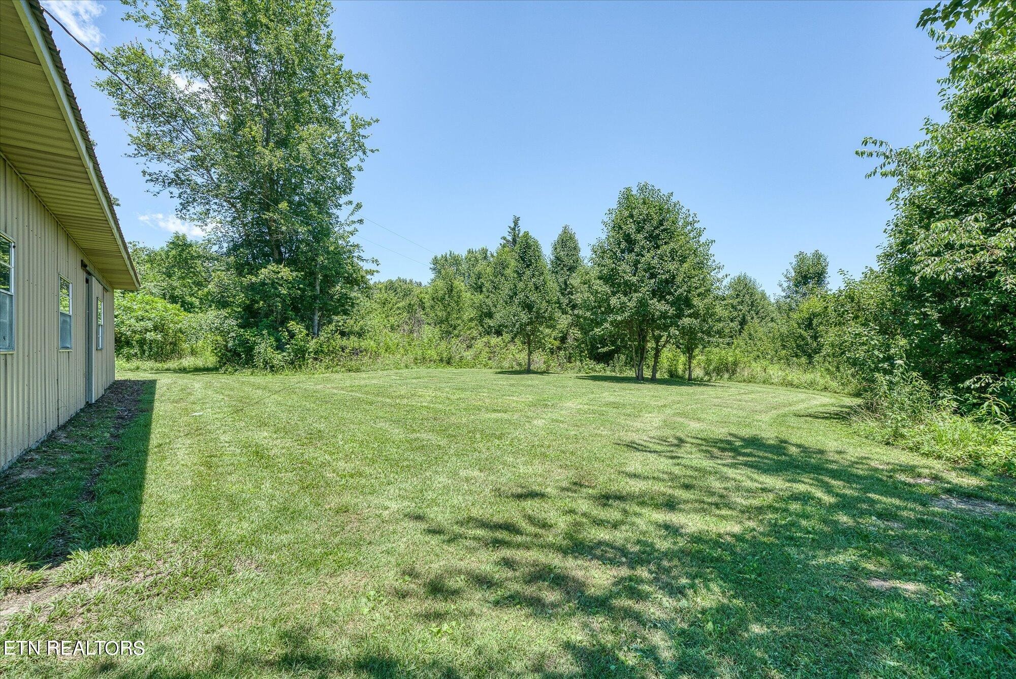 641 Island Ford Road Lancing, TN 37770 - Photo 43 of 44
