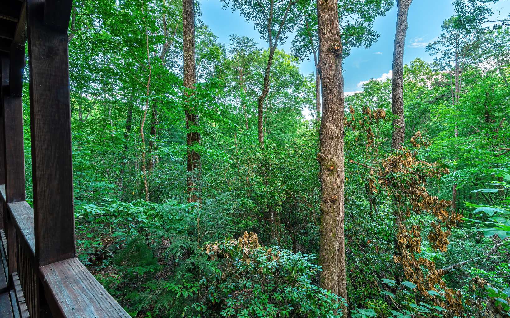 80 Posey Road Blue Ridge, GA 30513 - Photo 38 of 44 Additional View