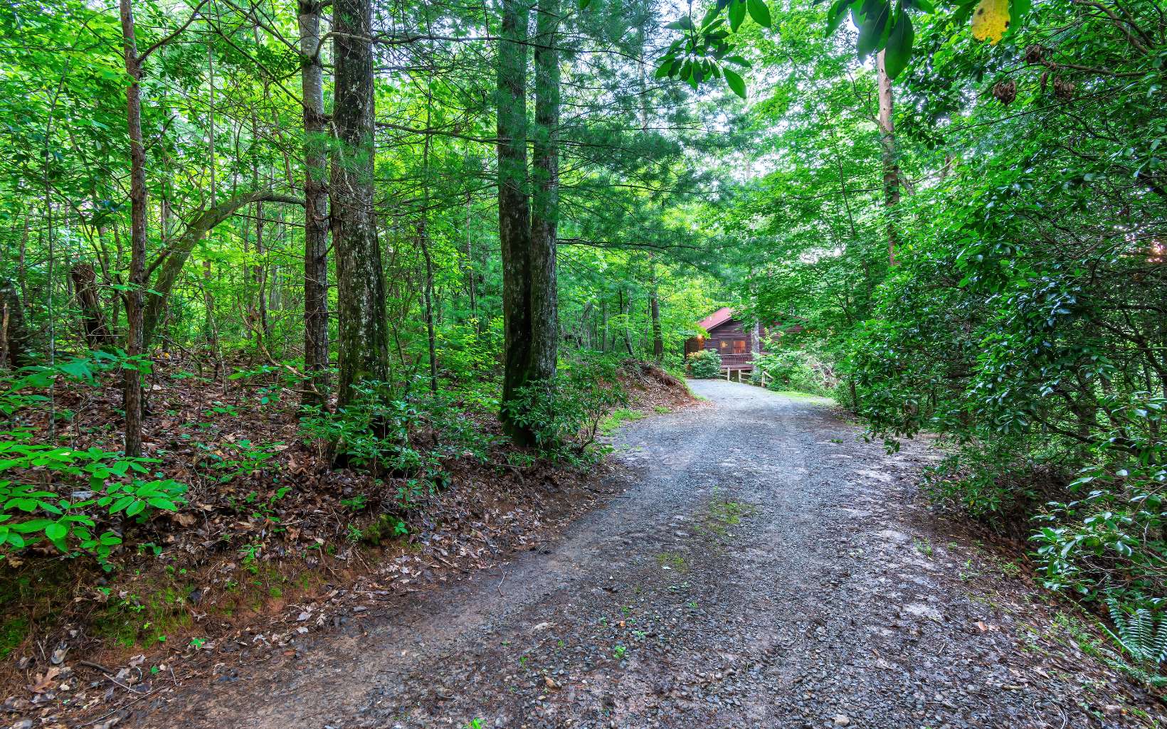 80 Posey Road Blue Ridge, GA 30513 - Photo 44 of 44 Additional View