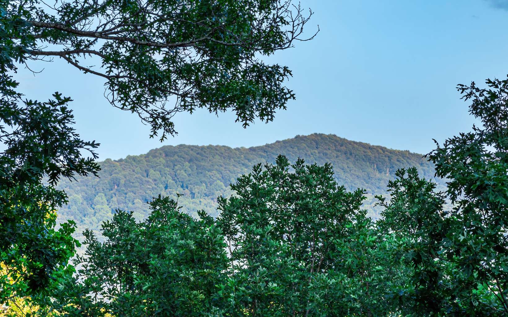 80 Posey Road Blue Ridge, GA 30513 - Photo 6 of 44 Additional View