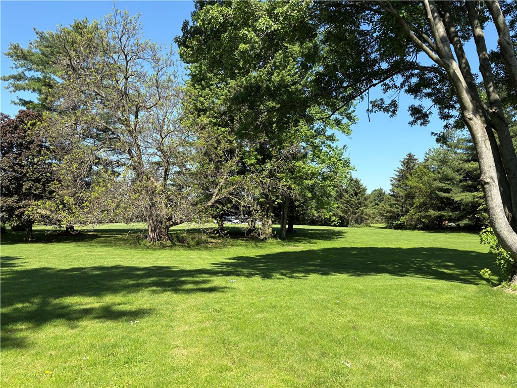 449 Palmer Road Riga, NY 14428 - Photo 6 of 25