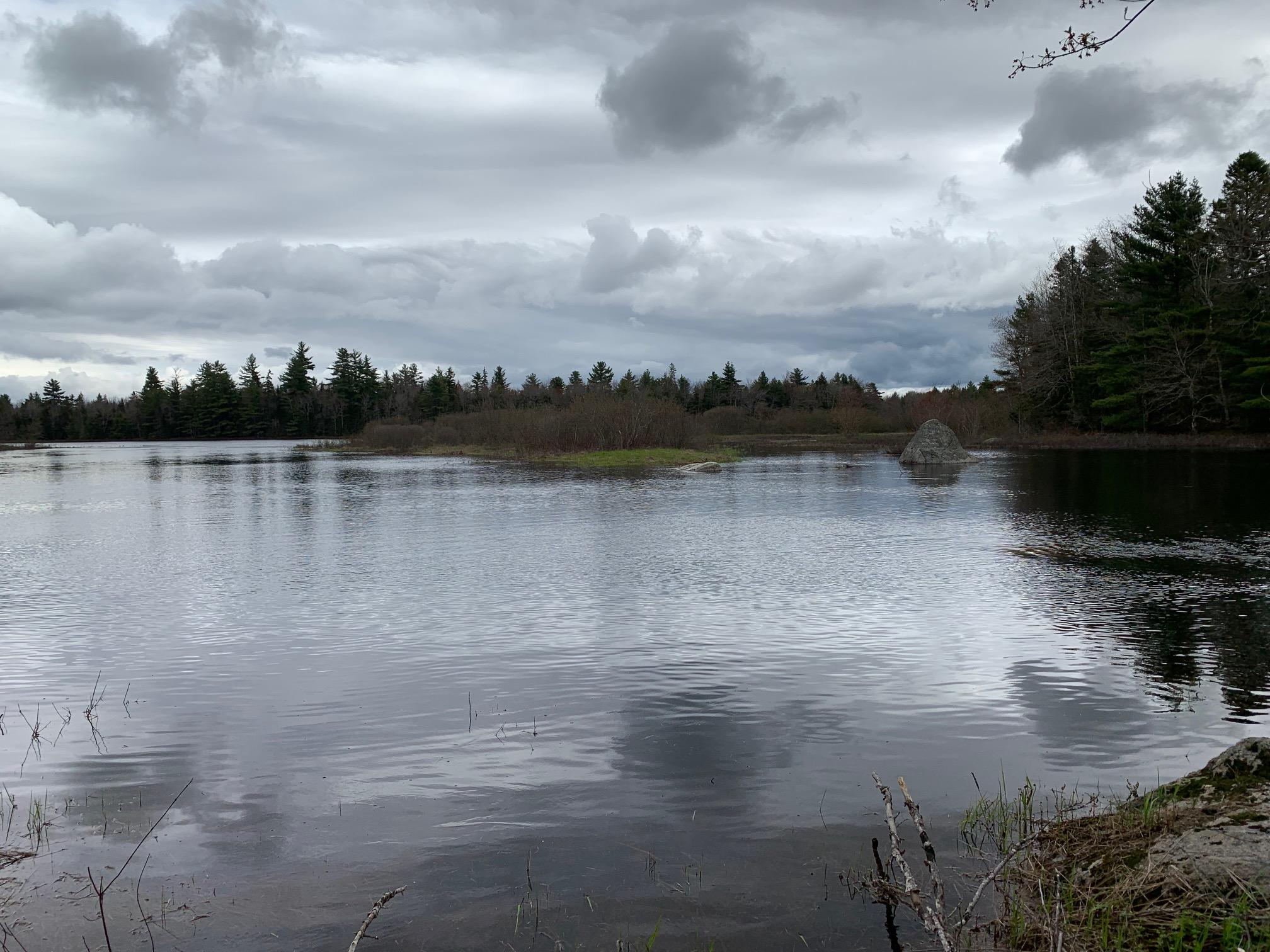 217 Tourtelotte Ridge Road Ellsworth, ME 04605 - Photo 11 of 14 217 Tour Pic 3