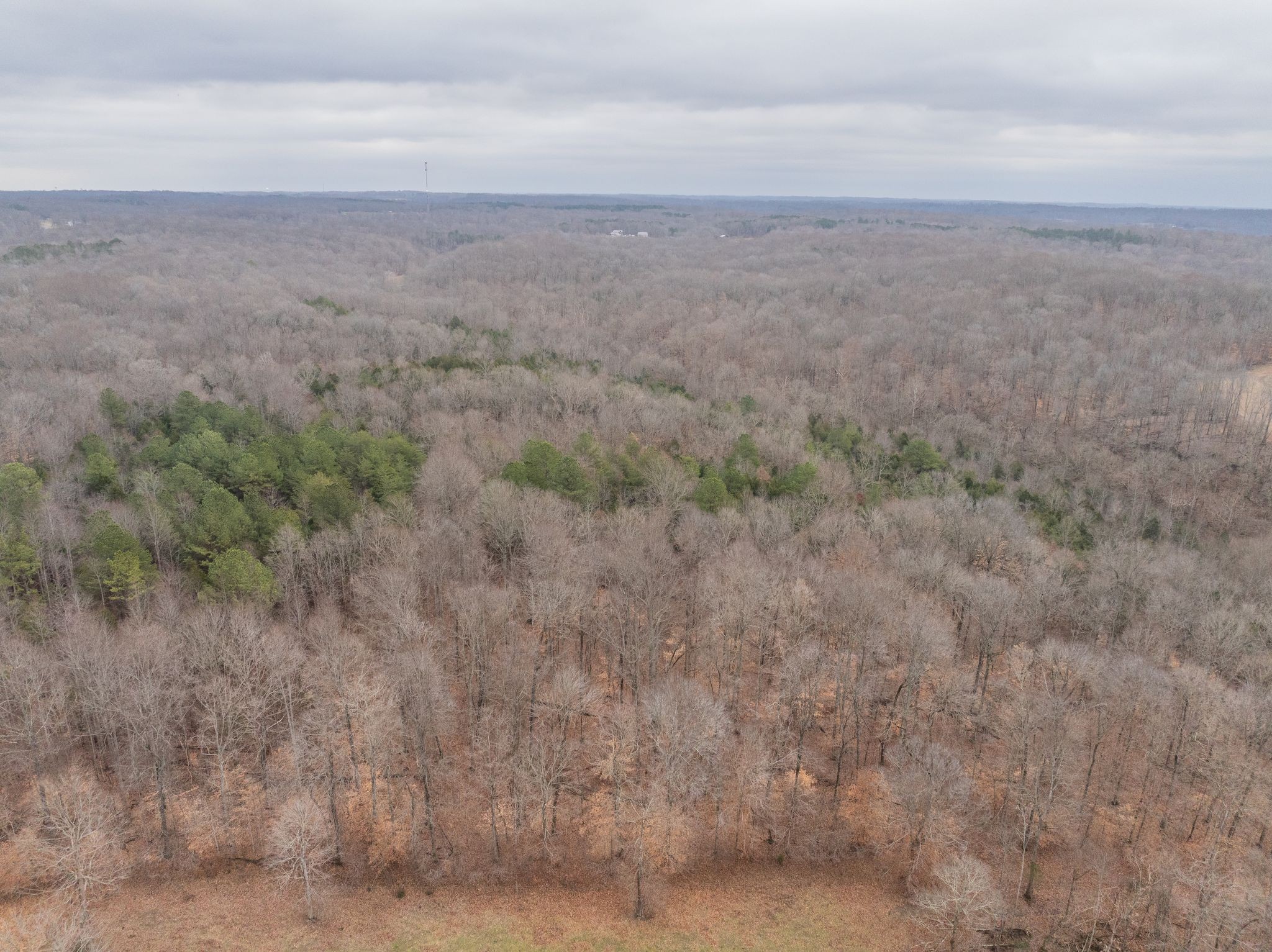 0 Wiley Branch Road Dickson, TN 37055 - Photo 6 of 27