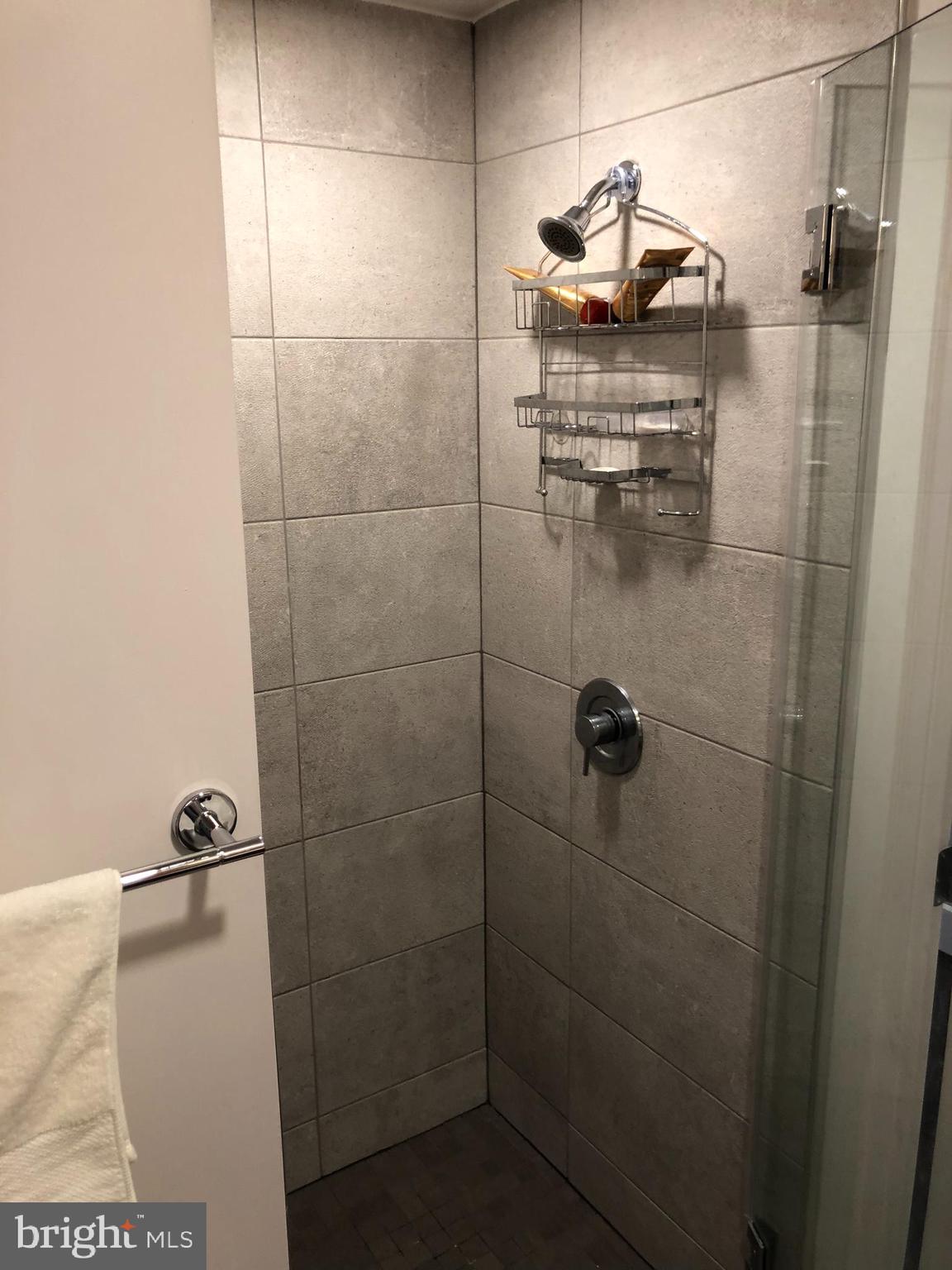 525 Water Street Southwest, Unit 308 Washington, DC 20024 - Photo 10 of 24 a bathroom with a shower