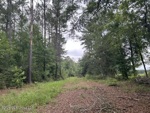 301 Freeman Road Southwest Summit, MS 39666 - Photo 4 of 43 IMG_4584