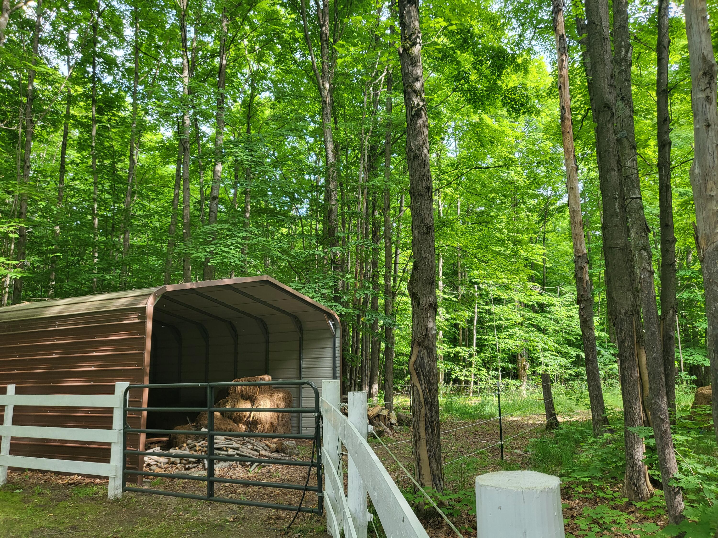 9933 North Roberts Road Frederic, MI 49733 - Photo 53 of 61 1000017089