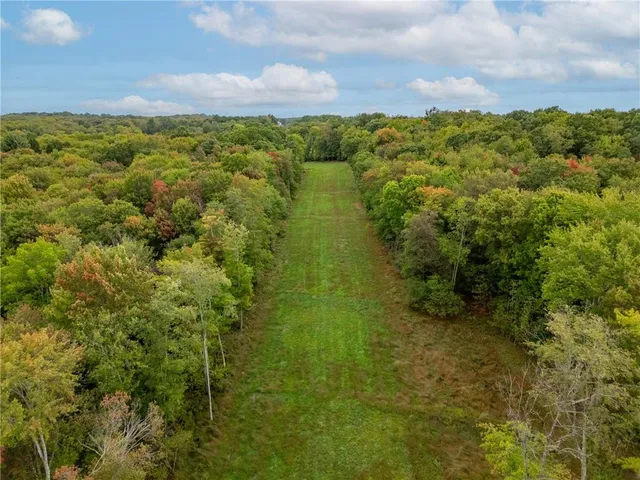 a view of a green yard