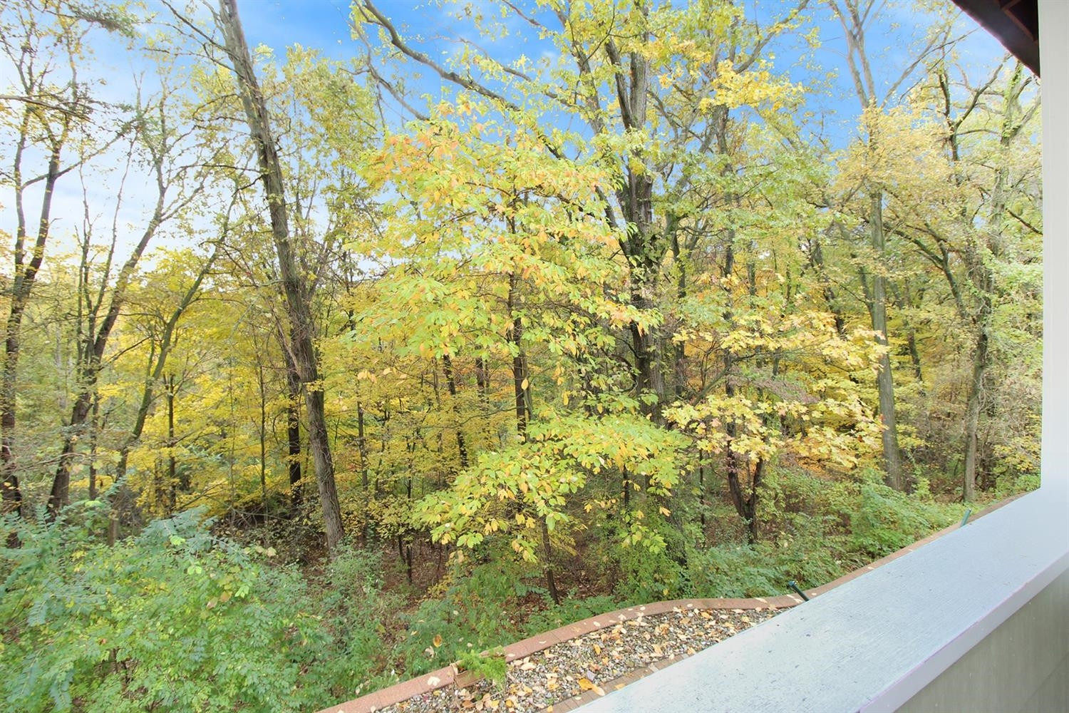 13891 Riker Road Chelsea, MI 48118 - Photo 36 of 60 Photo 36