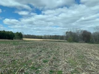 11803 Castle Road Fenwick, MI 48834 - Photo 36 of 44 IMG_4499