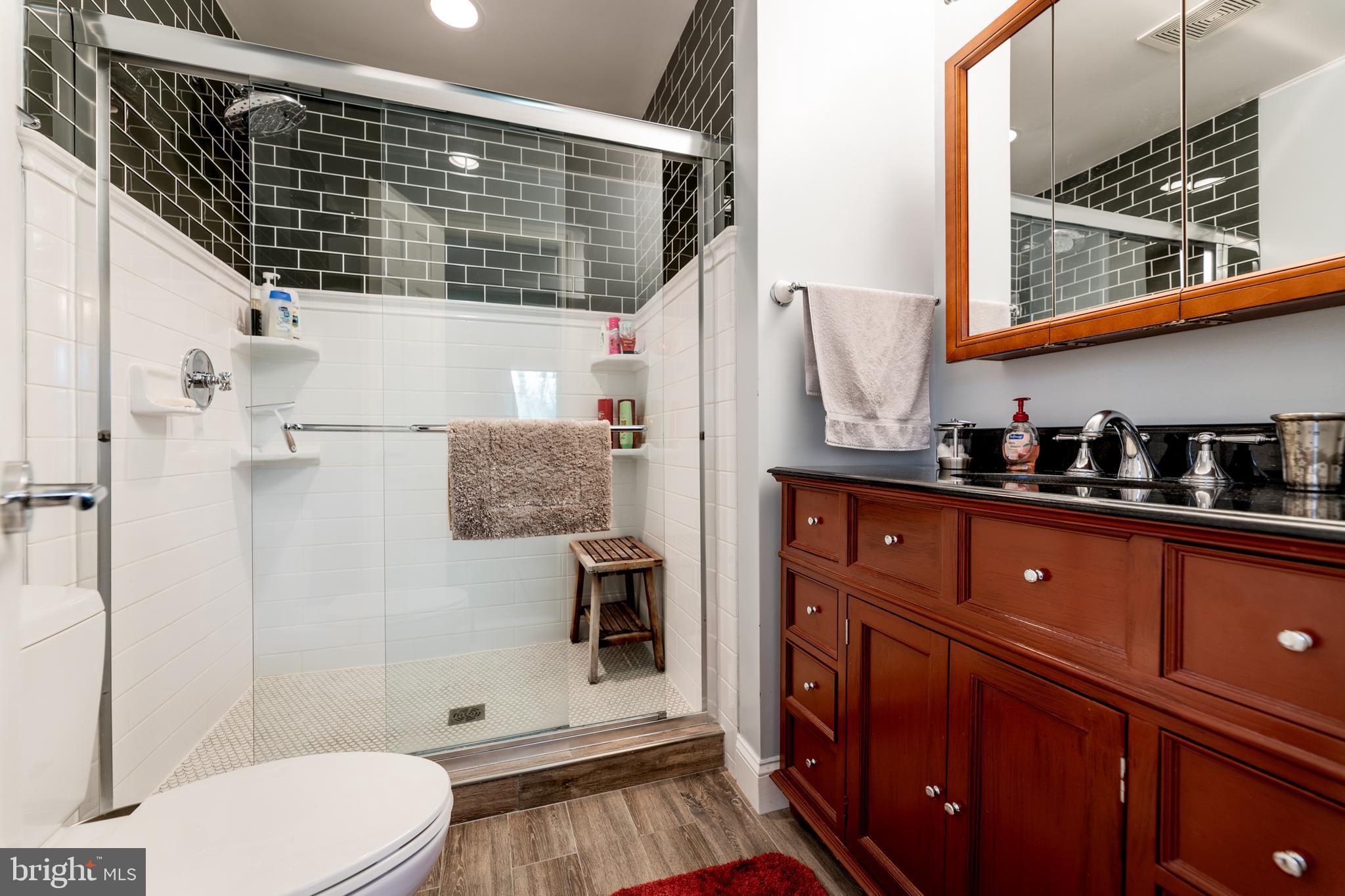 14712 Harold Road Silver Spring, MD 20905 - Photo 20 of 37 Master Bathroom