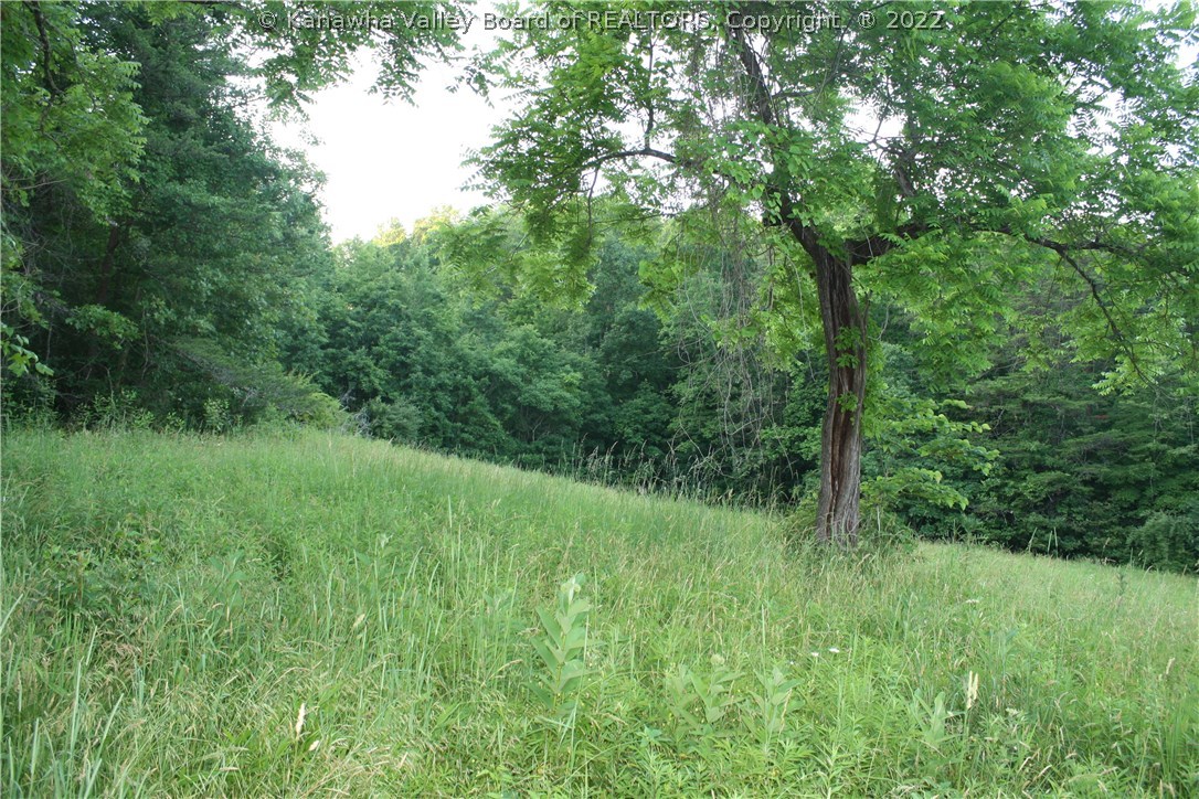 249 White Pine Road Kenna, WV 25248 - Photo 26 of 26 Back meadow with woods