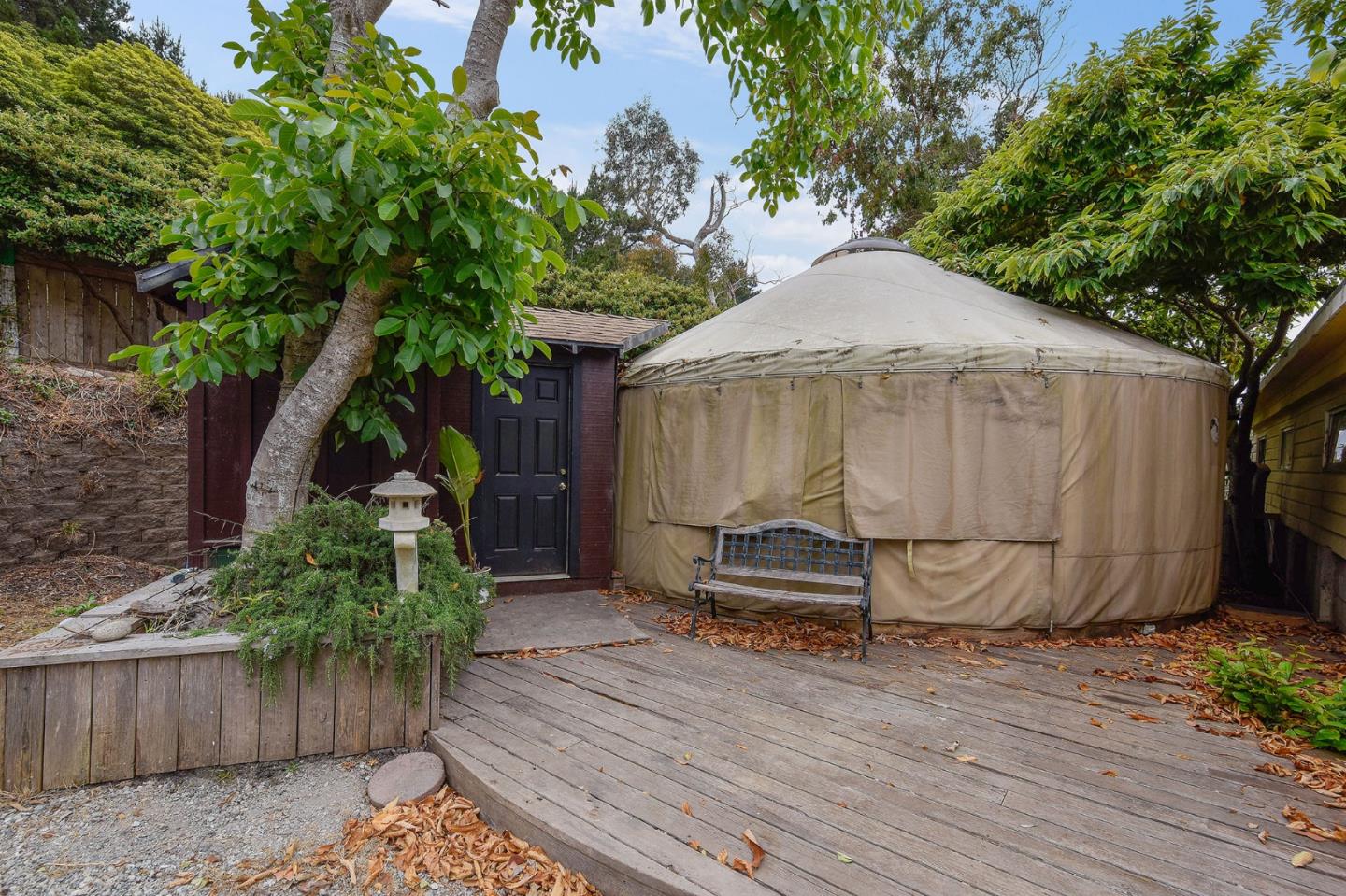 554 Brighton Road Pacifica, CA 94044 - Photo 37 of 50 a small garden covered with tall trees