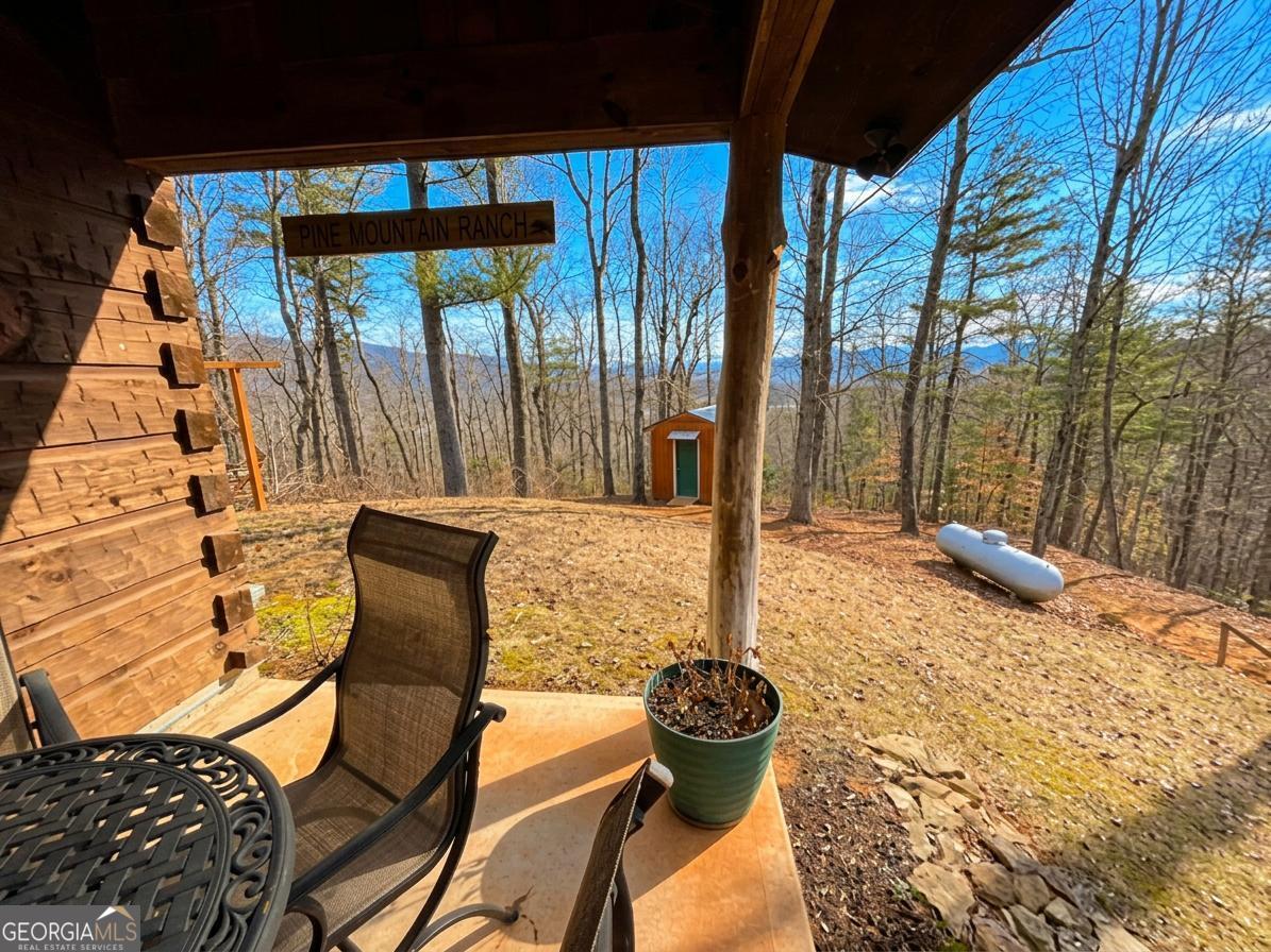 513 Coleman Heights Lane Rabun Gap, GA 30568 - Photo 6 of 36 a view of an outdoor space with furniture