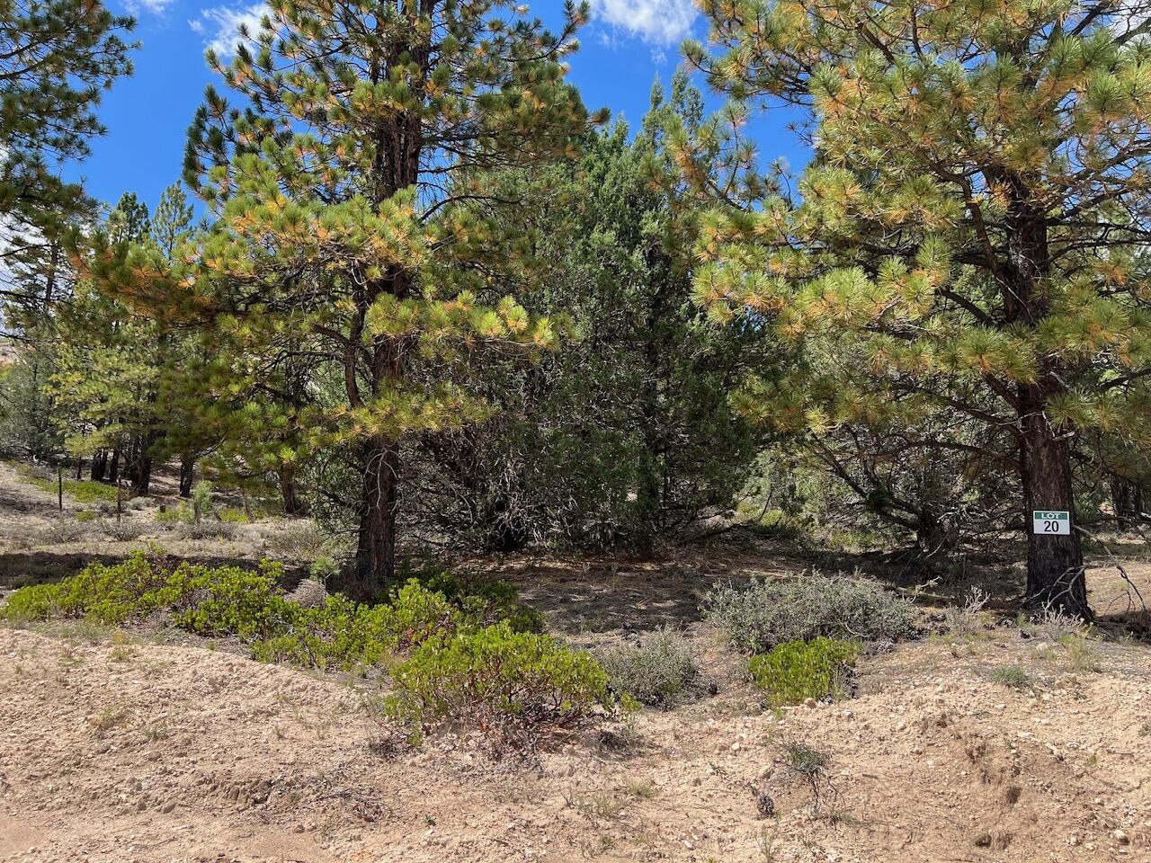 Lot # Elk Ridge Estates Alton, UT 84710 - Photo 4 of 4 Flat & Hilly