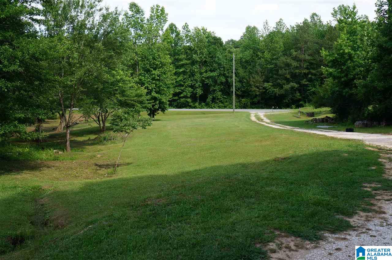 25355 Highway 9 Goodwater, AL 35072 - Photo 3 of 22