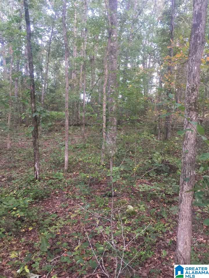 241 Sulphur Springs Road, Unit 9 89 ACRES Lincoln, AL 35096 - Photo 21 of 44