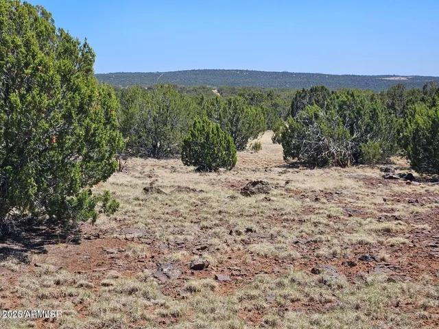 a view of a dry yard with mountains in the background