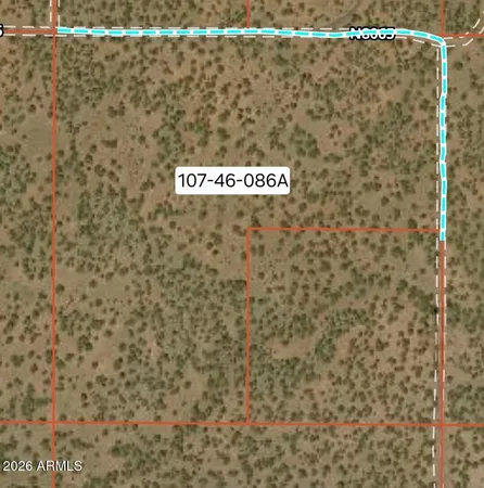 a view of a dry yard with trees