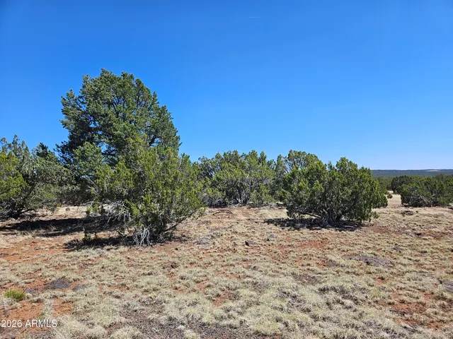 a view of a dry yard covered with snow