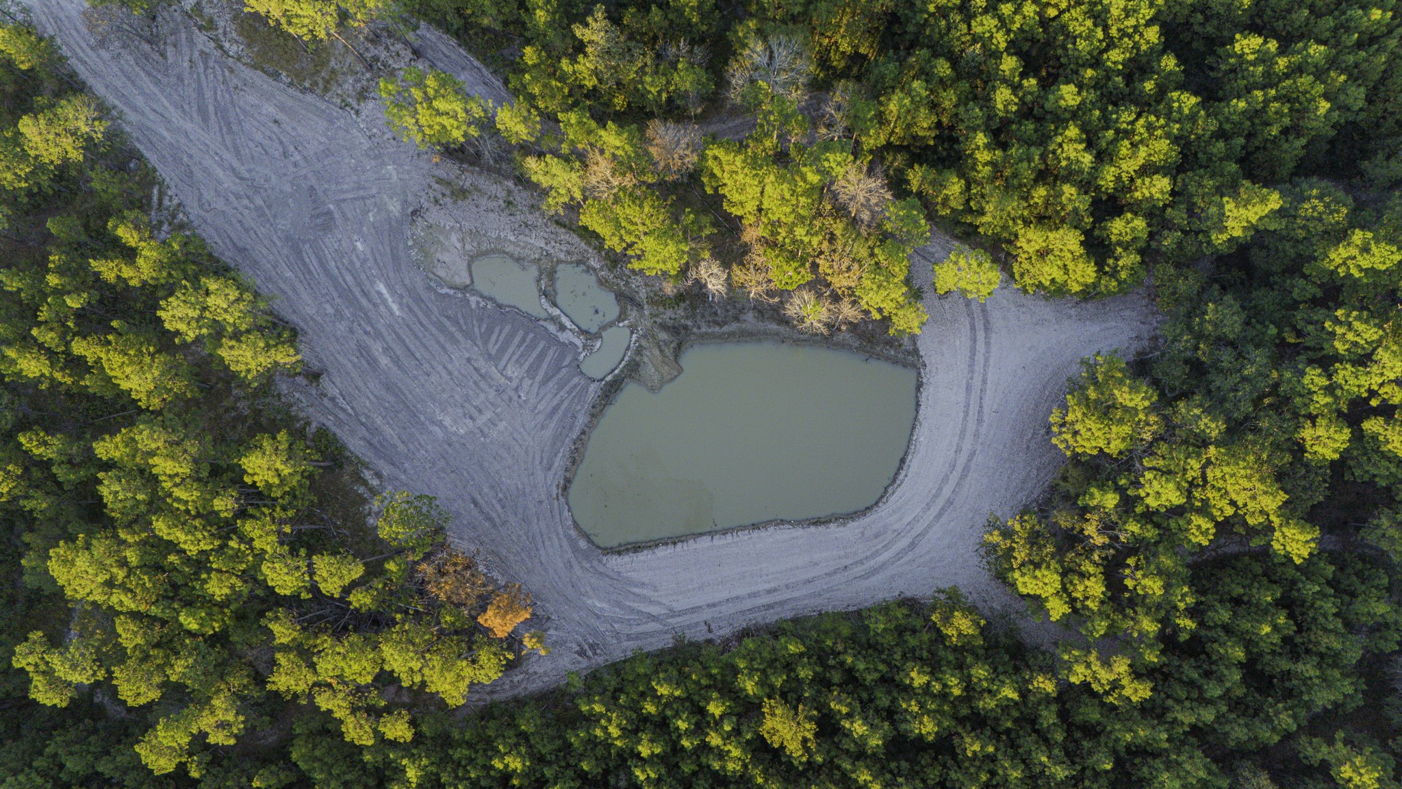 13 Magnolia Ranch Road Onalaska, TX 77360 - Photo 6 of 11