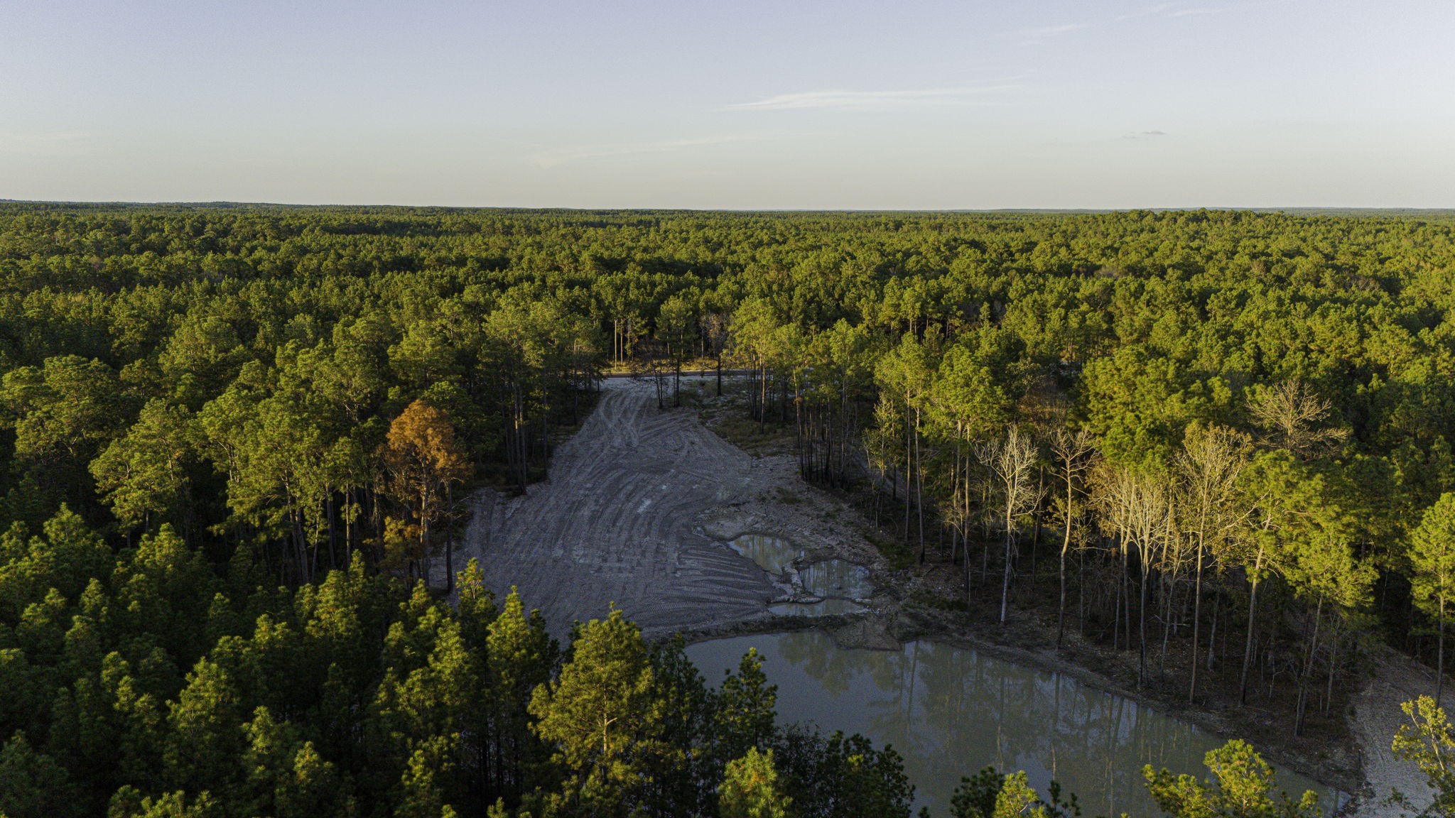 13 Magnolia Ranch Road Onalaska, TX 77360 - Photo 8 of 11